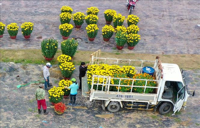 Trong ảnh: Xe vận chuyển hoa đi các nơi phục vụ thị trường Tết 2021. Ảnh: Trần Lê Lâm - TTXVN