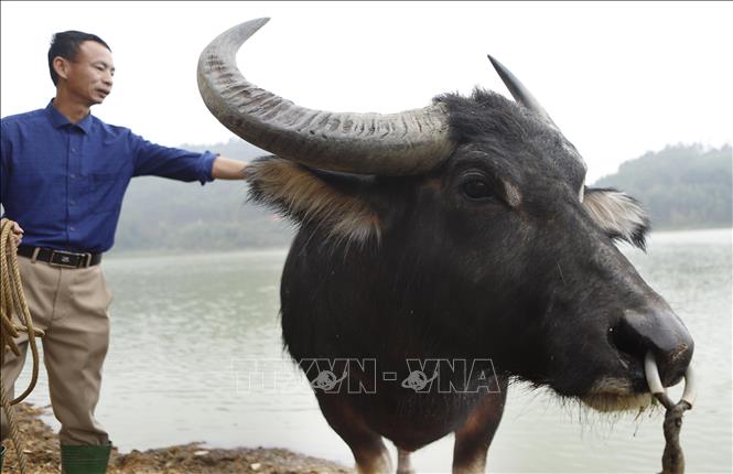 Trong ảnh: 