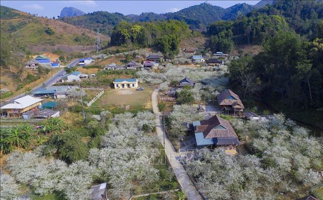 Trong ảnh: Bản Phiêng Ban nằm bên Quốc lộ 279 dưới chân đèo Tằng Quái nối thành phố Điện Biên Phủ với huyện Mường Ảng. Ảnh: Xuân Tư – TTXVN