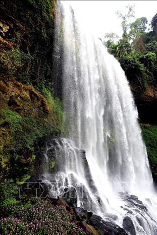 Trong ảnh: Thác Đambri còn được người địa phương gọi là thác Bảy tầng hoặc thác Đợi chờ. Ảnh: Huy Hùng - TTXVN