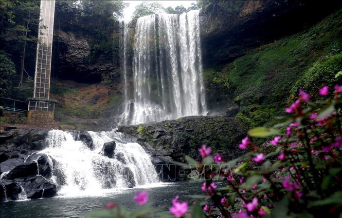 Trong ảnh: Xung quanh thác luôn có hoa nở quanh năm. Ảnh: Huy Hùng - TTXVN
