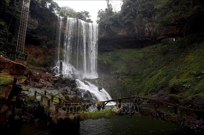 Trong ảnh: Thác nằm giữa khung cảnh rừng hoang sơ, hùng vĩ với nhiều loài thực vật quý. Ảnh: Huy Hùng - TTXVN
