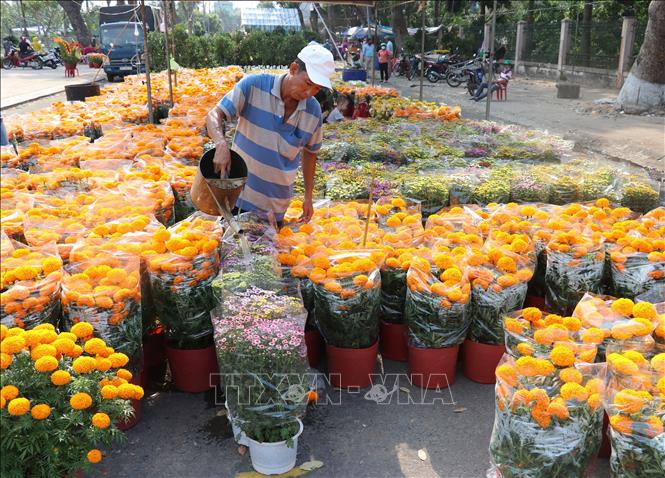 Trong ảnh: Chơ hoa xuân ở thành phố Cao Lãnh. Ảnh : Nguyễn Văn Trí - TTXVN