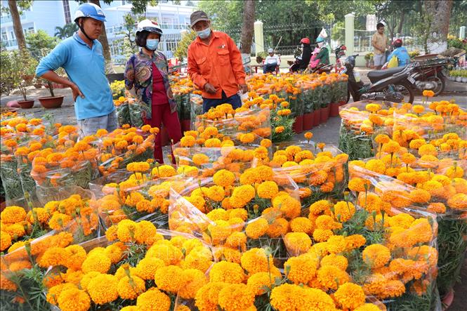 Trong ảnh: Chợ hoa xuân ở thành phố Cao Lãnh. Ảnh: Nguyễn Văn Trí - TTXVN