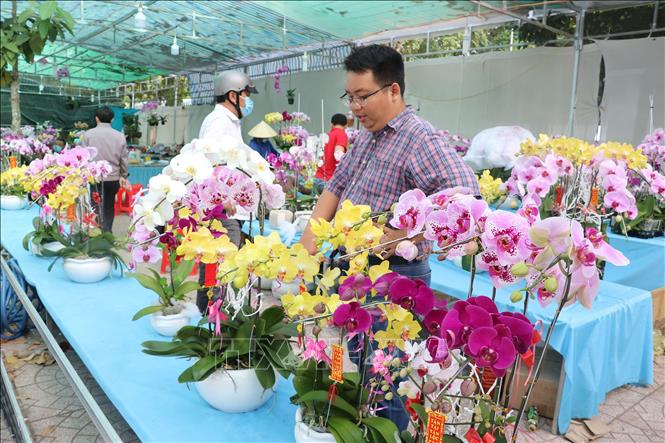Trong ảnh: Gian hàng bán hoa lan tại Chợ hoa xuân thành phố Cao Lãnh. Ảnh: Nguyễn Văn Trí - TTXVN