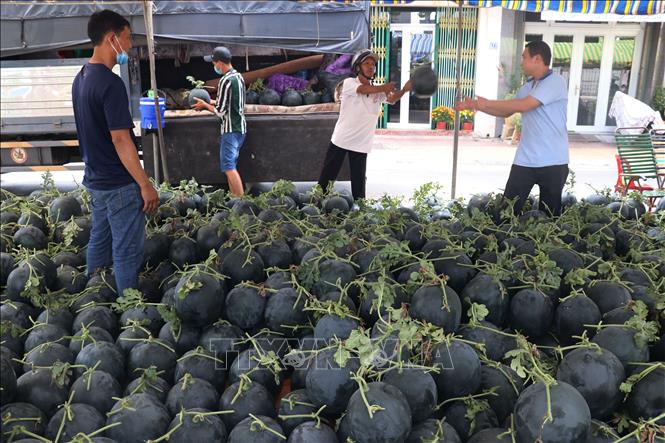Trong ảnh: Chợ dưa hấu tại thành phố Cao Lãnh. Ảnh: Nguyễn Văn Trí-TTXVN