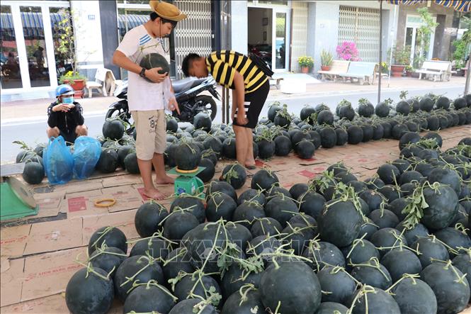 Trong ảnh: Người mua lác đác tại Chợ dưa hấu xuân. Ảnh : Nguyễn Văn Trí-TTXVN