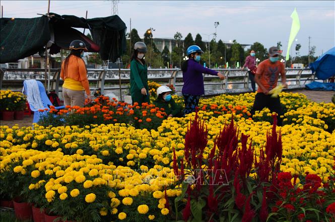 Trong ảnh: Chợ hoa Xà No nhộn nhịp dịp Tết đến. Ảnh: Hồng Thái - TTXVN