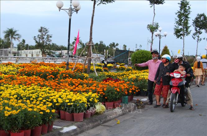 Trong ảnh: Chợ hoa Xà No nhộn nhịp dịp Xuân về. Ảnh: Hồng Thái - TTXVN