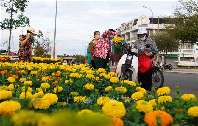 Trong ảnh: Người dân chọn hoa trang trí ngày Tết. Ảnh: Hồng Thái - TTXVN