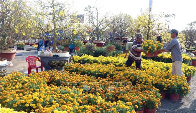 Trong ảnh: Điểm bán hoa tết tại khu lấn biển bên bờ biển Tây, thành phố Rạch Giá (Kiên Giang).
Ảnh: Lê Huy Hải - TTXVN