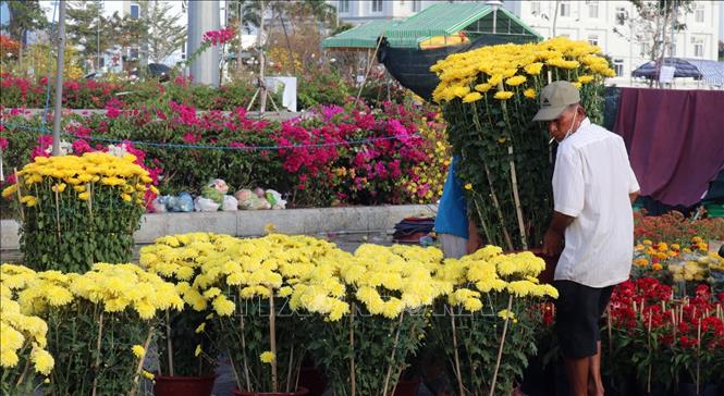 Trong ảnh: Điểm bán hoa tết tại khu lấn biển bên bờ biển Tây, thành phố Rạch Giá (Kiên Giang). Ảnh: Lê Huy Hải - TTXVN