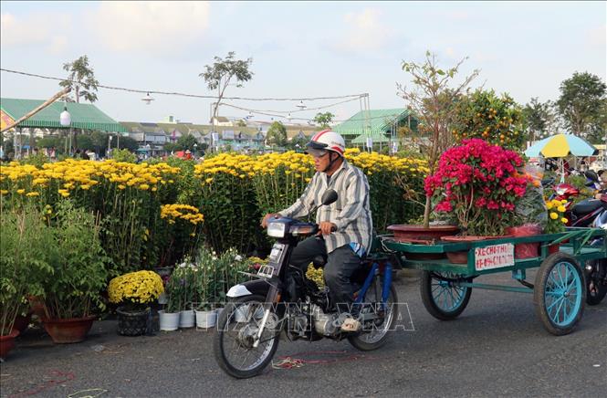 Trong ảnh: Điểm bán hoa tết tại thành phố Rạch Giá (Kiên Giang). Ảnh: Lê Huy Hải - TTXVN