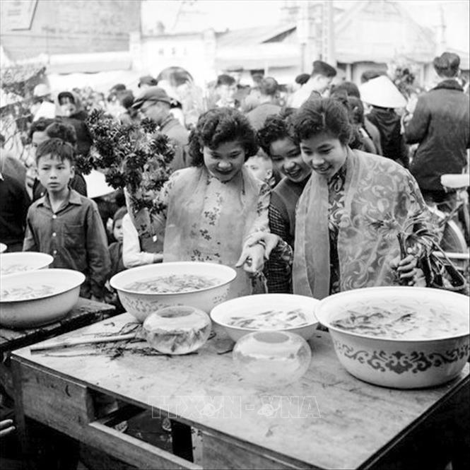 Trong ảnh: Chợ hoa còn có khu vực bán cá vàng để phục vụ người dân trong dịp Tết. Ảnh: TTXVN