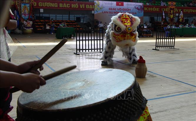 Trong ảnh: Trống và lân phải phối hợp nhịp nhàng. Ảnh: Hồng Thái - TTXVN
