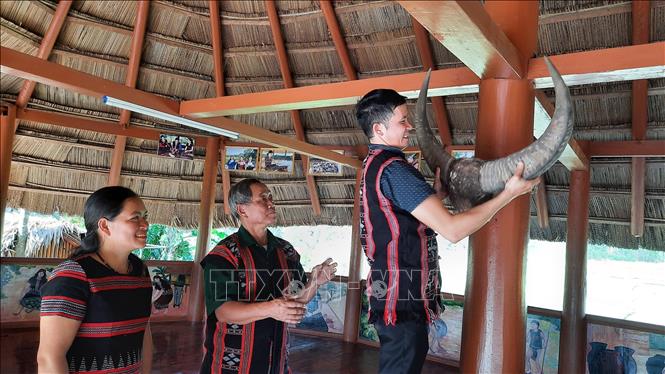 Trong ảnh: Những chiếc đầu trâu sau lễ hội đâm trâu được treo ở cột chính giữa nhà Gươl truyền thống. Ảnh: Tường Vi - TTXVN