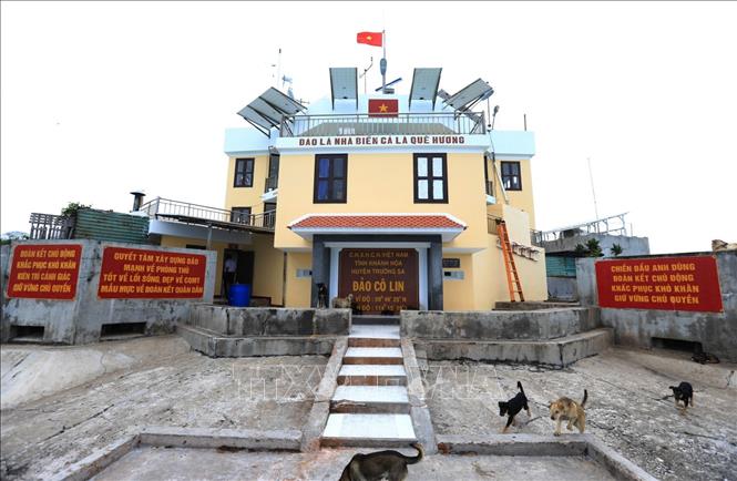 Trong ảnh: Những chú chó trên Đảo Cô Lin, đây được coi là người bạn của lính đảo. Ảnh: Thành Đạt - TTXVN