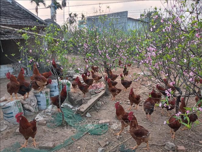 Sở Nông nghiệp và Phát triển Nông thôn Thanh Hóa