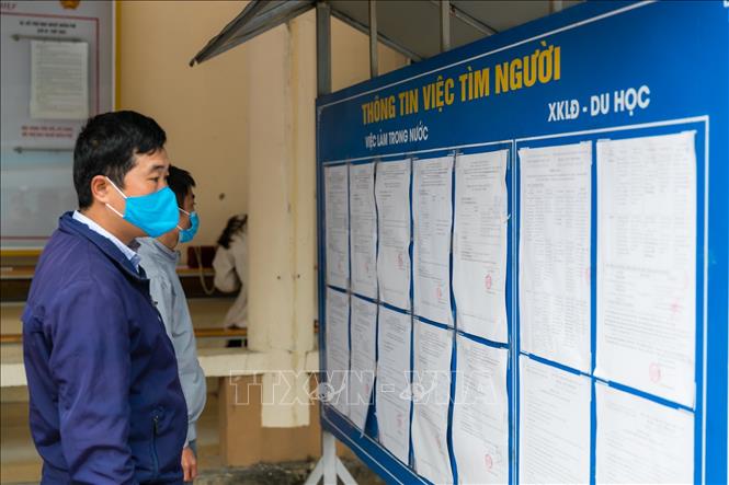 Trong ảnh: Người lao động tìm hiểu thông tin việc làm của các đơn vị tuyển dụng. Ảnh: Bích Huệ - TTXVN