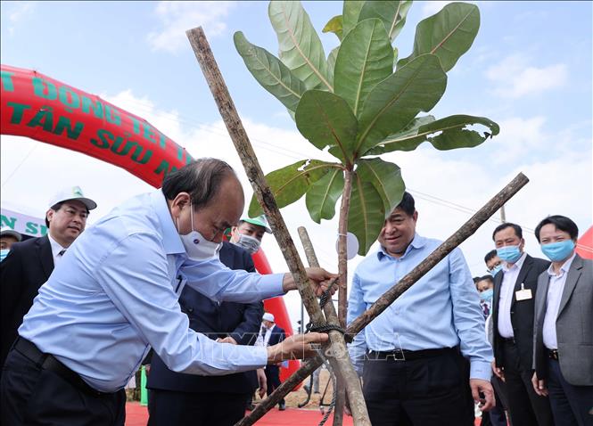 Photo: PM Nguyen Xuan Phuc joins in the tree-planting festivaal. VNA Photo: Thống Nhất