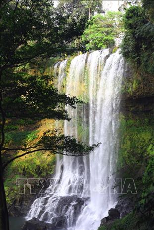 Photo: Dambri Waterfall is surrounded by a diverse and rich flora. VNA Photo: Huy Hùng