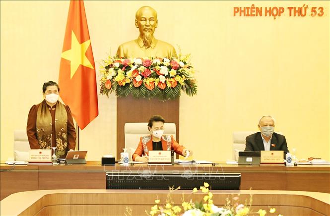 Trong ảnh: Phó Chủ tịch Thường trực Quốc hội Tòng Thị Phóng phát biểu. Ảnh: Trọng Đức - TTXVN