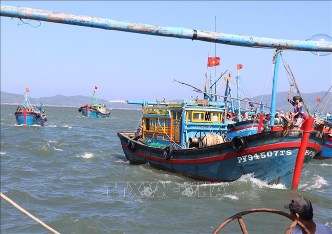 Trong ảnh: Các thuyền chở đầy ắp ruốc nối đuôi nhau cập cảng Dân Phước, phường Xuân Thành, thị xã Sông Cầu, Phú Yên.Ảnh: Phạm Cường-TTXVN