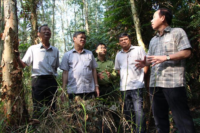 Trong ảnh: Đoàn kiểm tra công tác phòng, chữa cháy rừng tại Khu bảo tồn thiên nhiên Lung Ngọc Hoàng. Ảnh: Hồng Thái - TTXVN