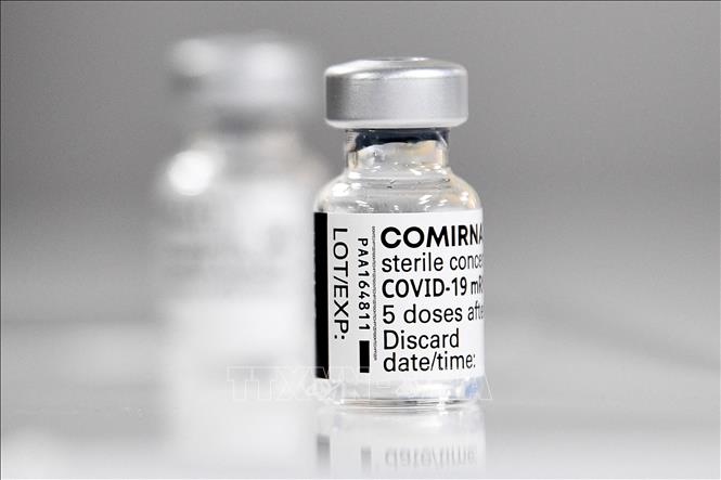 Trong ảnh: Vaccine ngừa COVID-19 của Hãng Pfizer-BioNTech. Ảnh: AFP/TTXVN