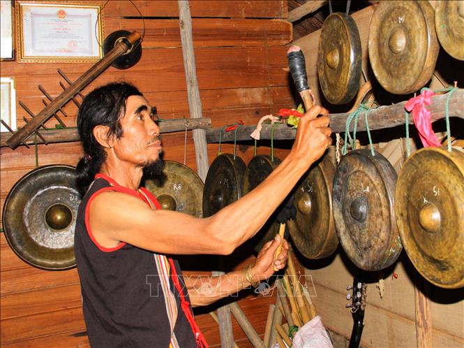 Trong ảnh: Ông A Thui thử âm của những bộ cồng chiêng. Ảnh: Khoa Chương – TTXVN