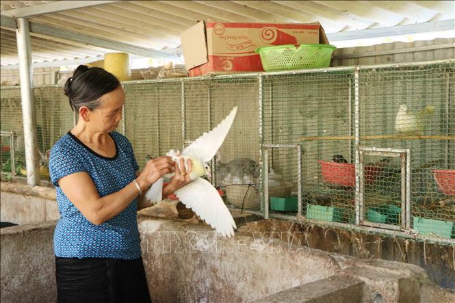 Trong ảnh: Nhiều sinh kế mới được đồng bào dân tộc miền núi huyện Nậm Nhùn áp dụng, xây dựng nông thôn mới. Ảnh: Nguyễn Oanh-TTXVN