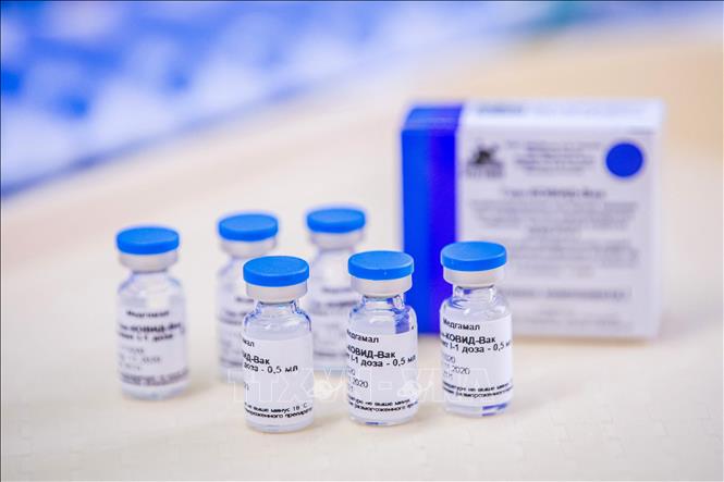 Trong ảnh: Vaccine ngừa COVID-19 Sputnik V của Nga. Ảnh: AFP/TTXVN