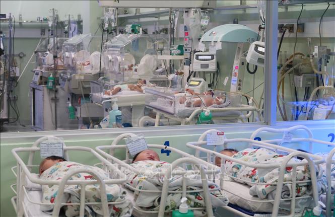 Trong ảnh: Trẻ sơ sinh được chăm sóc tại Khoa Sơ sinh - Bệnh viện Hùng Vương Thành phố Hồ Chí Minh. Ảnh: Đinh Hằng - TTXVN                                   