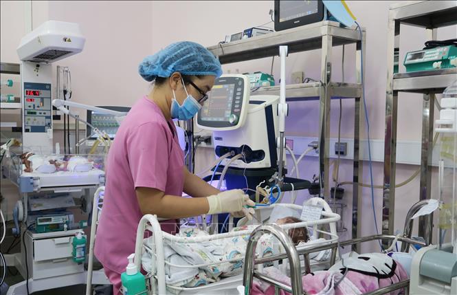 Trong ảnh: Điều dưỡng viên Khoa Sơ sinh chăm sóc cho trẻ sinh non. Ảnh: Đinh Hằng - TTXVN