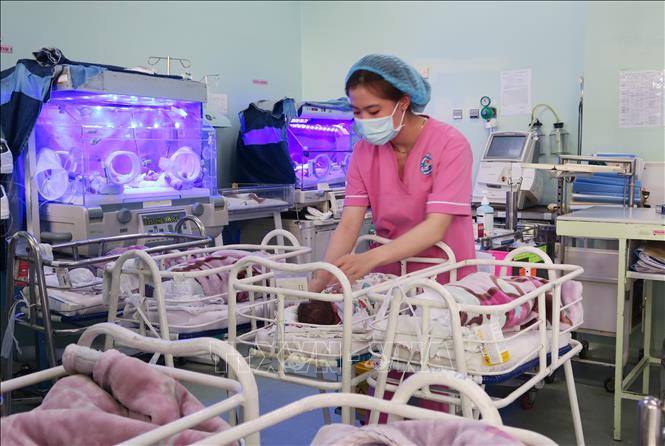 Trong ảnh: Điều dưỡng viên Khoa Sơ sinh chăm sóc cho trẻ sinh non. Ảnh: Đinh Hằng - TTXVN