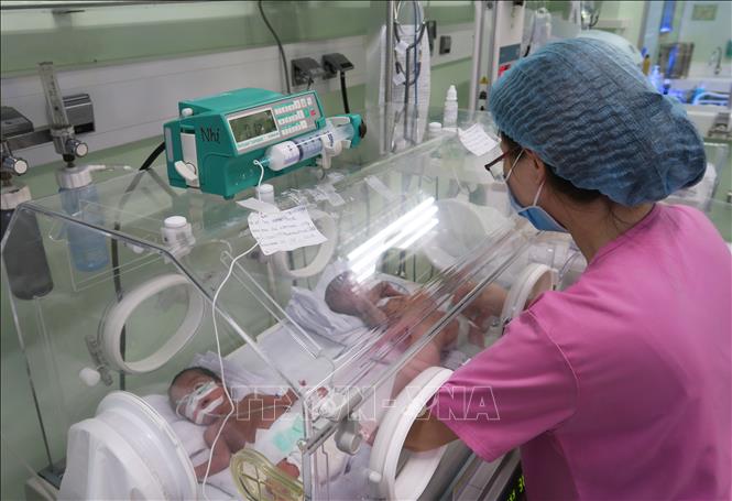  Trong ảnh: Trẻ sinh non được chăm sóc đặc biệt trong lồng ấp. Ảnh: Đinh Hằng - TTXVN                                  