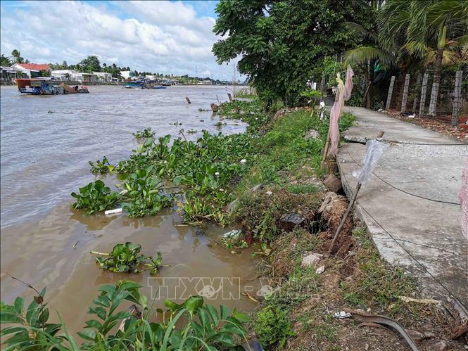 Đến cuối năm 2020, trên địa bàn quận Ô Môn (TP Cần Thơ) có 40 điểm sạt lở, trong đó nghiêm trọng nhất là trên tuyến sông Ô Môn với chiều dài các điểm bị sạt hơn 4 km. Nhiều đoạn bị sạt lở, đường giao thông bị sụp lún và sạt ra sông Ô Môn, đe dọa sinh hoạt và đời sống của người dân. Ảnh: Thanh Liêm - TTXVN