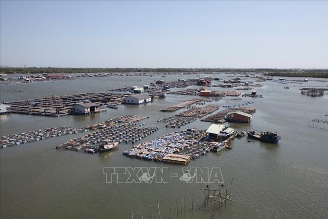 Nuôi cá lồng, hàu trên sông Chà Và (TP. Vũng Tàu) cho hiệu quả kinh tế cao. Ảnh: Trần Việt - TTXVN