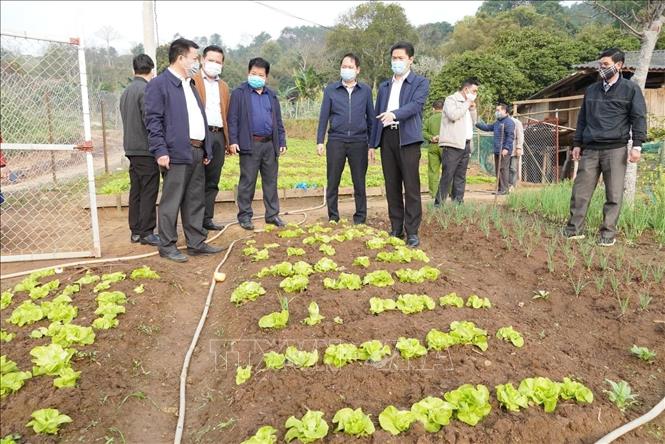 Cải tạo vườn tạp giúp bà con dân tộc phát triển kin  Báo Phụ Nữ Việt Nam