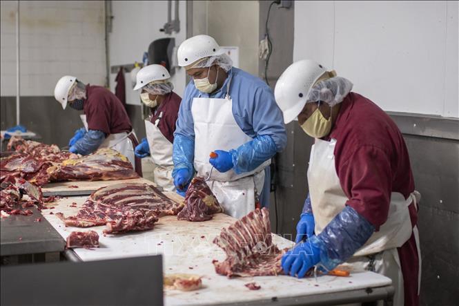 Trong ảnh: Xẻ thịt bò tại một công ty thực phẩm ở Rigby, Idaho, Mỹ, ngày 26/5/2020. Ảnh: AFP/ TTXVN