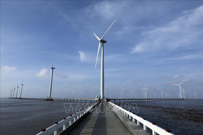 Trong ảnh: Nhà máy Điện gió Bạc Liêu có 62 turbin điện với tổng công suất dự tính 99MW. Ảnh: Phan Tuấn Anh - TTXVN