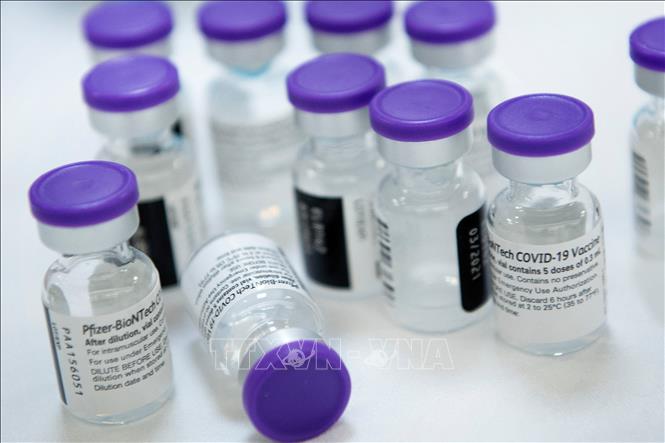 Trong ảnh: Vaccine ngừa COVID-19 của Pfizer. Ảnh: AFP/TTXVN