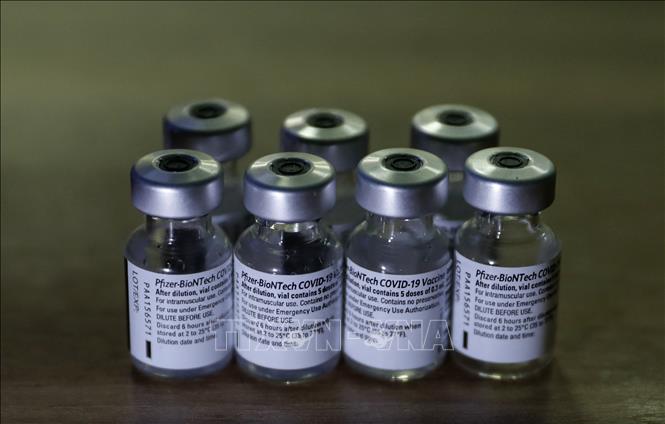 Trong ảnh: Vaccine ngừa COVID-19 của Pfizer. Ảnh: AFP/TTXVN