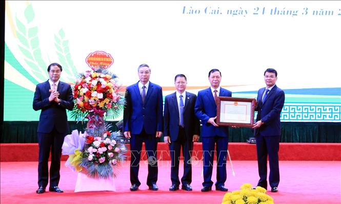 Trong ảnh: Thành phố Lào Cai đón nhận Quyết định công nhận hoàn thành xây dựng nông thôn mới. Ảnh: Lục Hương Thu - TTXVN
 
