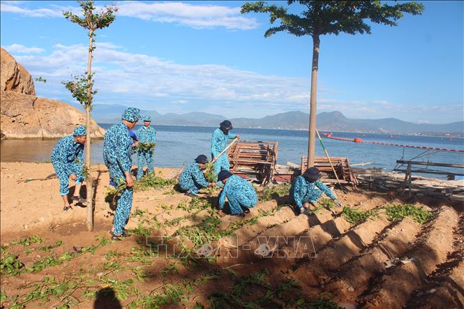 Xây dựng cảnh quan môi trường xanh sạch đẹp