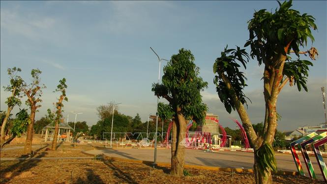 Trong ảnh: Công viên có hơn 300 cây xoài lớn nhỏ. Ảnh: K GỬIH -TTXVN