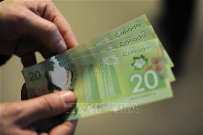 Trong ảnh (tư liệu): Đồng tiền mệnh giá 20 đôla Canada. Ảnh: AFP/ TTXVN