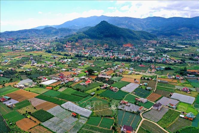 Vùng rau chuyên canh huyện Đơn Dương, tỉnh Lâm Đồng. Ảnh: Ngọc Hà - TTXVN