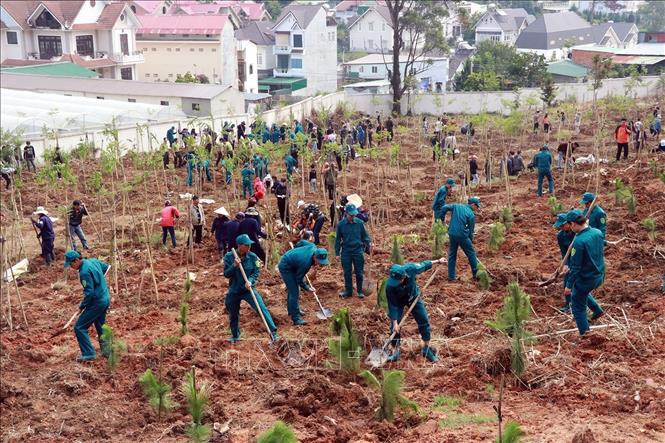 Lễ phát động trồng rừng, trồng cây phân tán năm 2020 tại thành phố Đà Lạt, tỉnh Lâm Đồng, ngày 17/5/2020. Ảnh: Chu Quốc Hùng-TTXVN