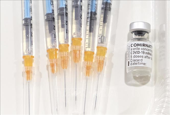 Nhật Bản chuẩn bị tiêm vaccine COVID-19 cho người cao tuổi ...